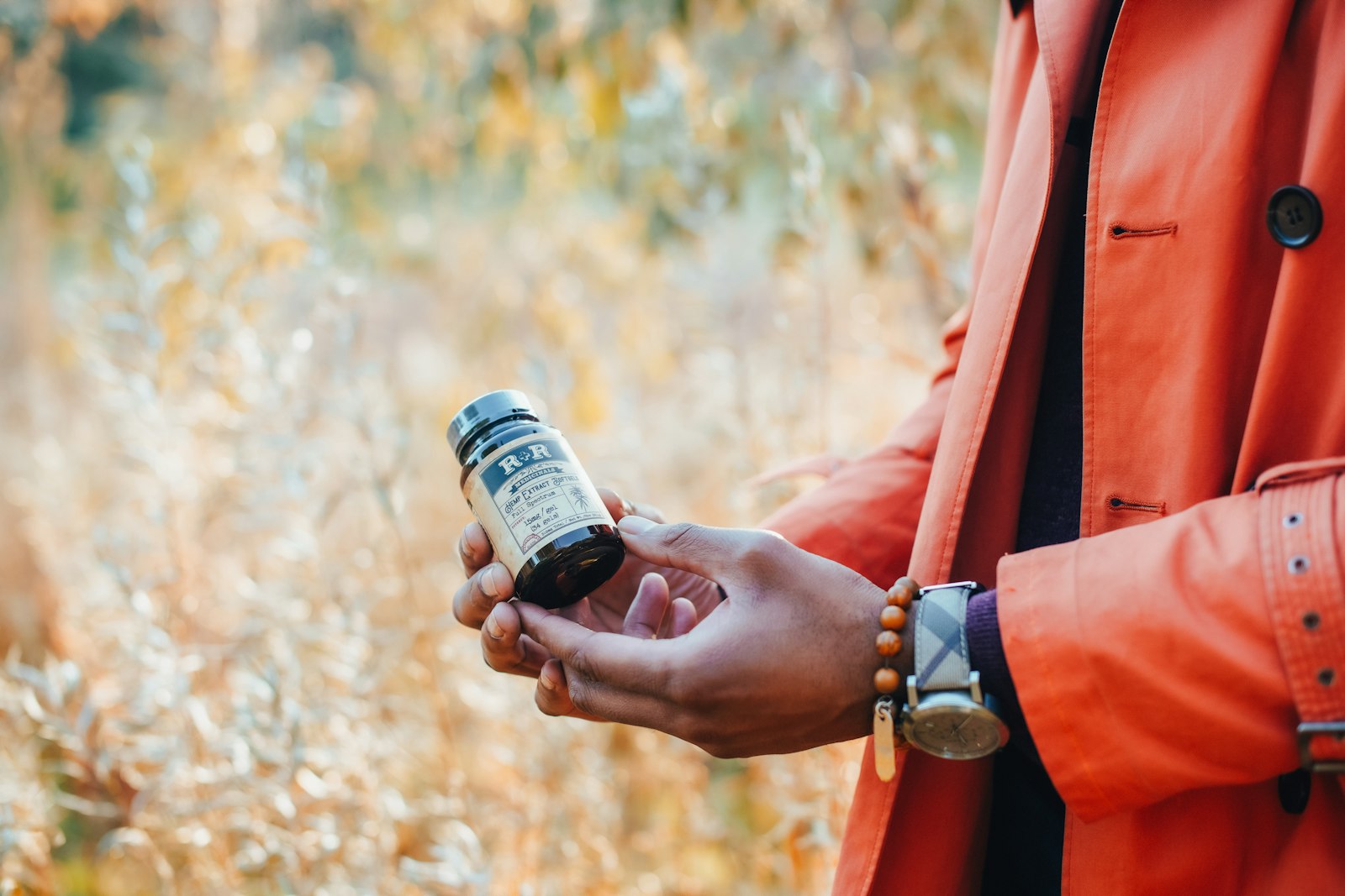 Best Fisetin Supplements, Ranked