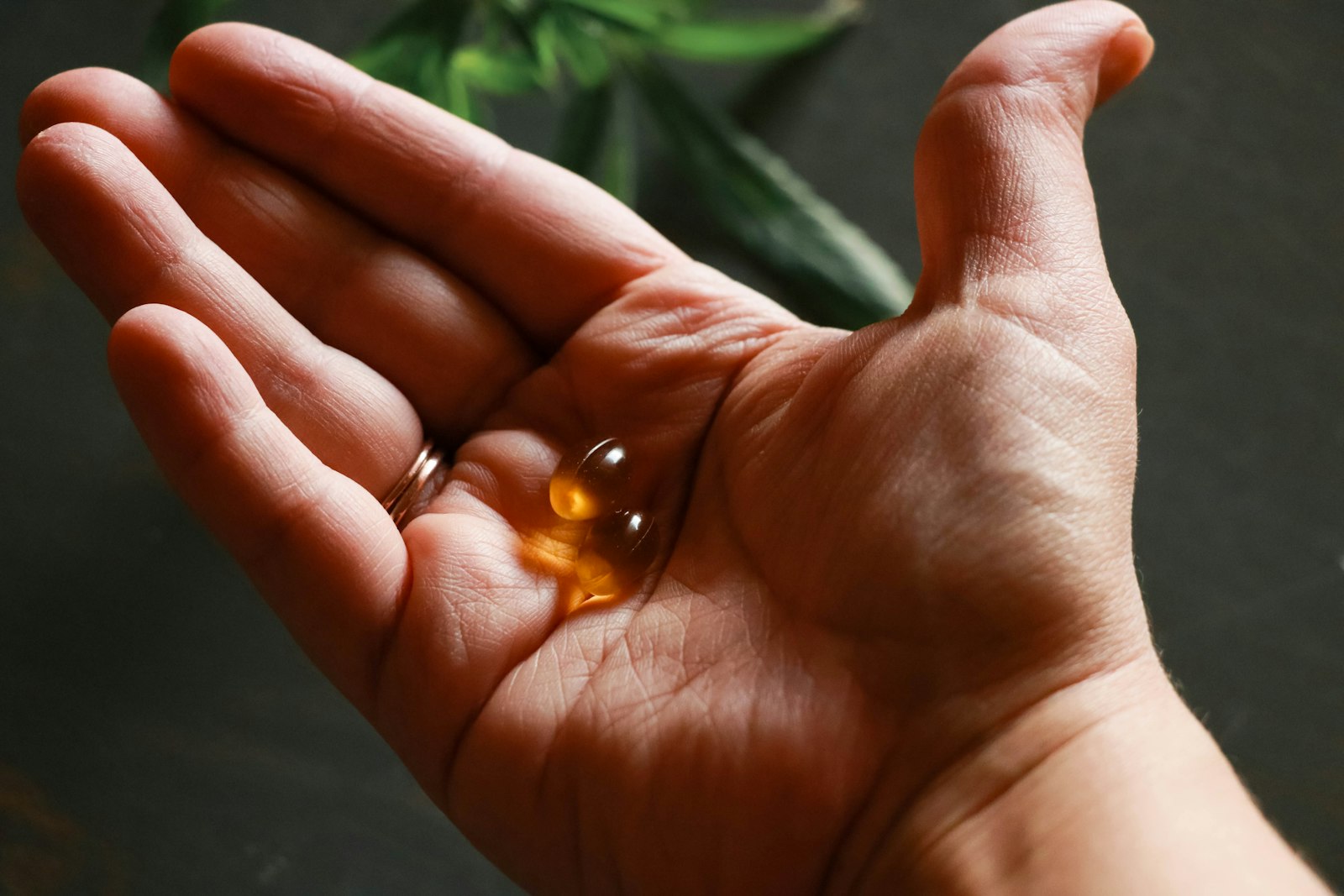 Best NMN Supplements, Ranked