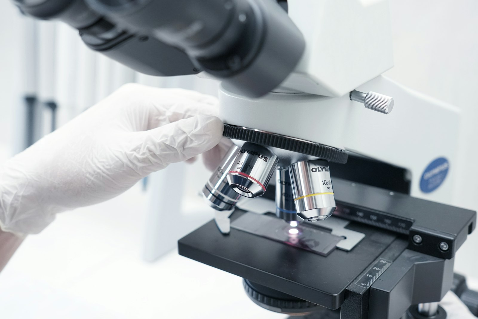 Does NR (Nicotinamide Riboside) Actually Work? What the Science Says