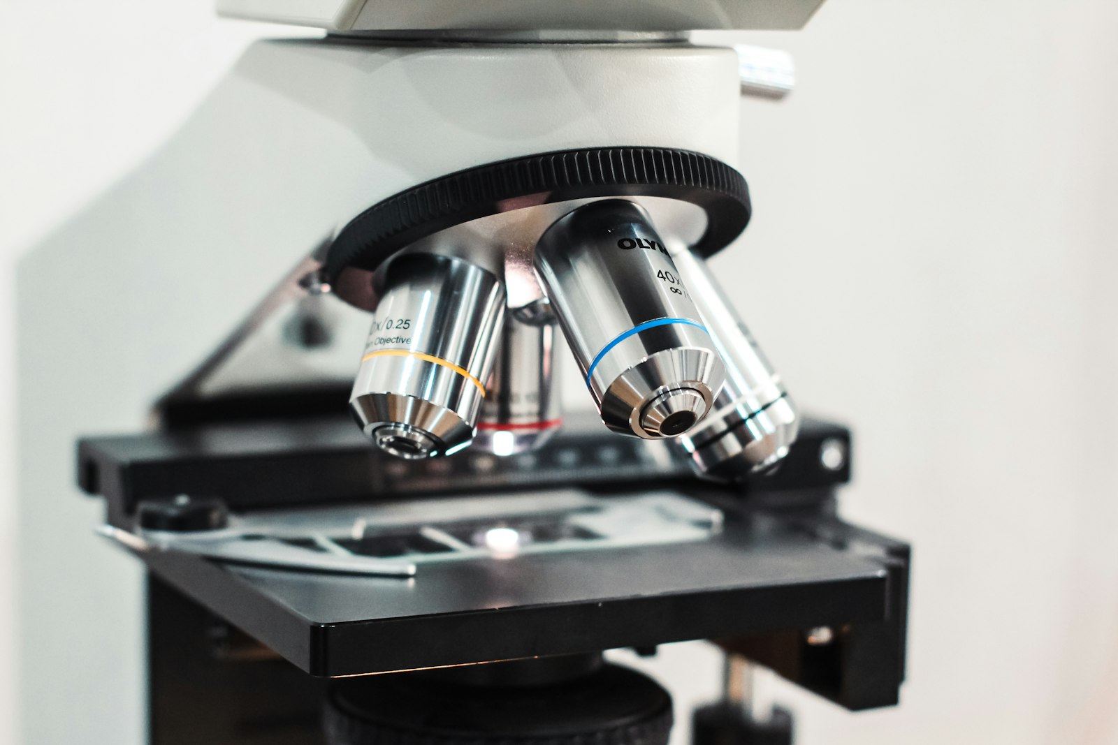 Does Resveratrol Actually Work? What the Science Says