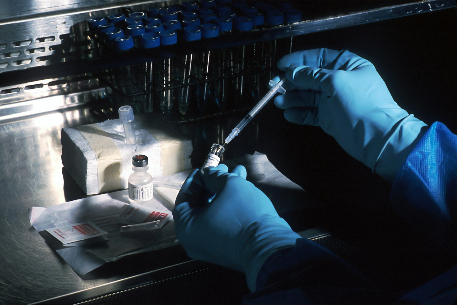 Does Urolithin A Actually Work? What the Science Says